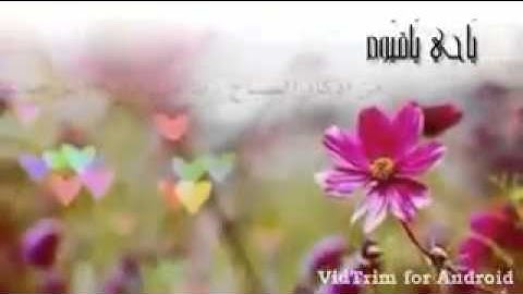 الشيخ الشنقيطي  - ابشر بكل خير مادمت تقرأ الأذكار