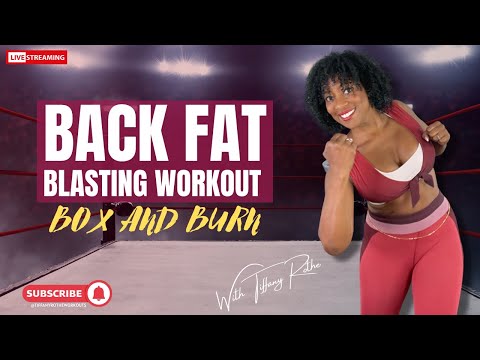 Back Fat Blasting Workout | Box and Burn with Tiffany Rothe
