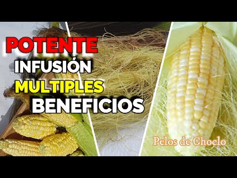 BENEFITS of PELOS DE CHOCLO OR ELOTE, 11 Excellent Benefits it brings us -  YouTube