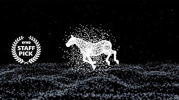 HORSE?｜Motion Graphics Work｜BYND