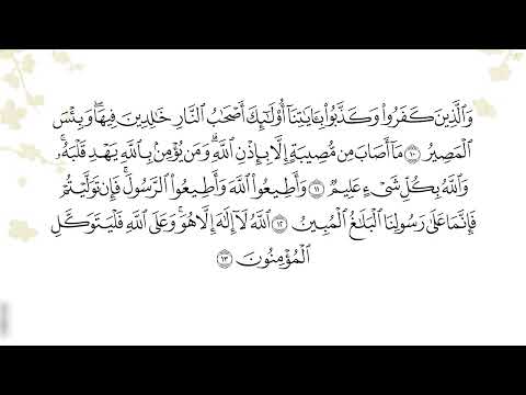 سورة التغابن بصوت ادريس ابكر