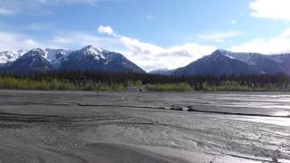 Darby Chasing Shadow On Kluane Lake