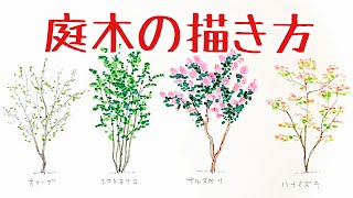 植栽スケッチ 人気のシンボルツリーを簡単に描く方法 建築 インテリアパース Youtube