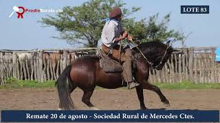 LOT 83 CHAKE SECRETO