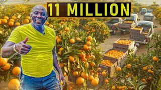 He left USA🇺🇸 to invest D11 Million in Orange Farm: A Bold Investment Story
