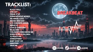 Dj Breakbeat Mixtape 2026  Mode Geleng Halu