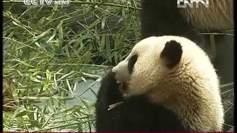 Impact of Lushan earthquake on China