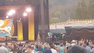 The Steve Miller Band - Jungle Love