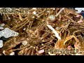 【底引き網漁】今シーズンも無事に最後の松葉ガニ漁を終えました！！