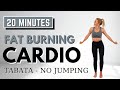 🔥20 Min FAT BURNING CARDIO for WEIGHT LOSS🔥TABATA WORKOUT🔥NO SQUATS/LUNGES🔥NO JUMPING🔥NO REPEATS🔥