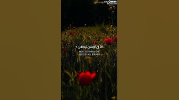 كَلَّا إِنَّ الإنسان ليطغى |محمد صديقالمنشاوي |سورة العلق #لايك #حالات_واتس #اكسبلور #حالات_واتس