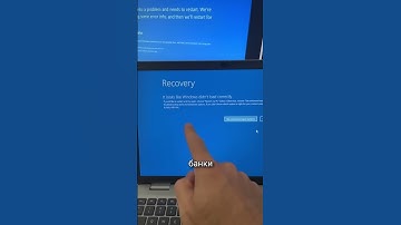 Мой тг: Подвал Стинта #стинт #stint #stintik