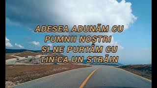 Ne stingem Doamne | Justin J. Deac | NEGATIV cu versuri