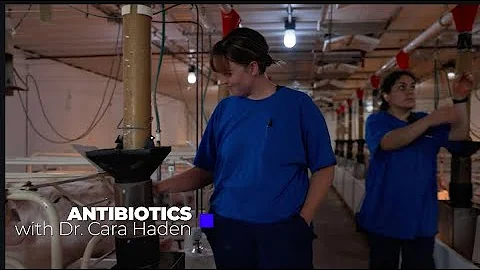 Cara Haden, DVM - Pig Health & Antibiotics