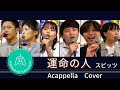 運命の人/スピッツ【アカペラCover】