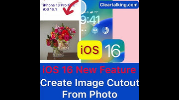 iOS 16 Cool Feature: Cutout subjects from photos without background! #shorts #ios16 #iphone