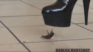 N2 - Bug Crush Teaser - Shiny boots and cockroaches