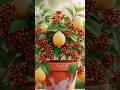 Put Cloves In Lemon 🍋 and See Tha Magic!😱(100% Working)#short#viral#tranding