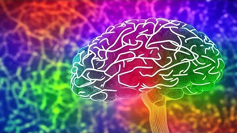 The Neuroscience of Aging: Unlocking the Secrets to Brain Health