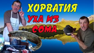 Суп из сома(УХА)Варим по хорватски в Хорватии.