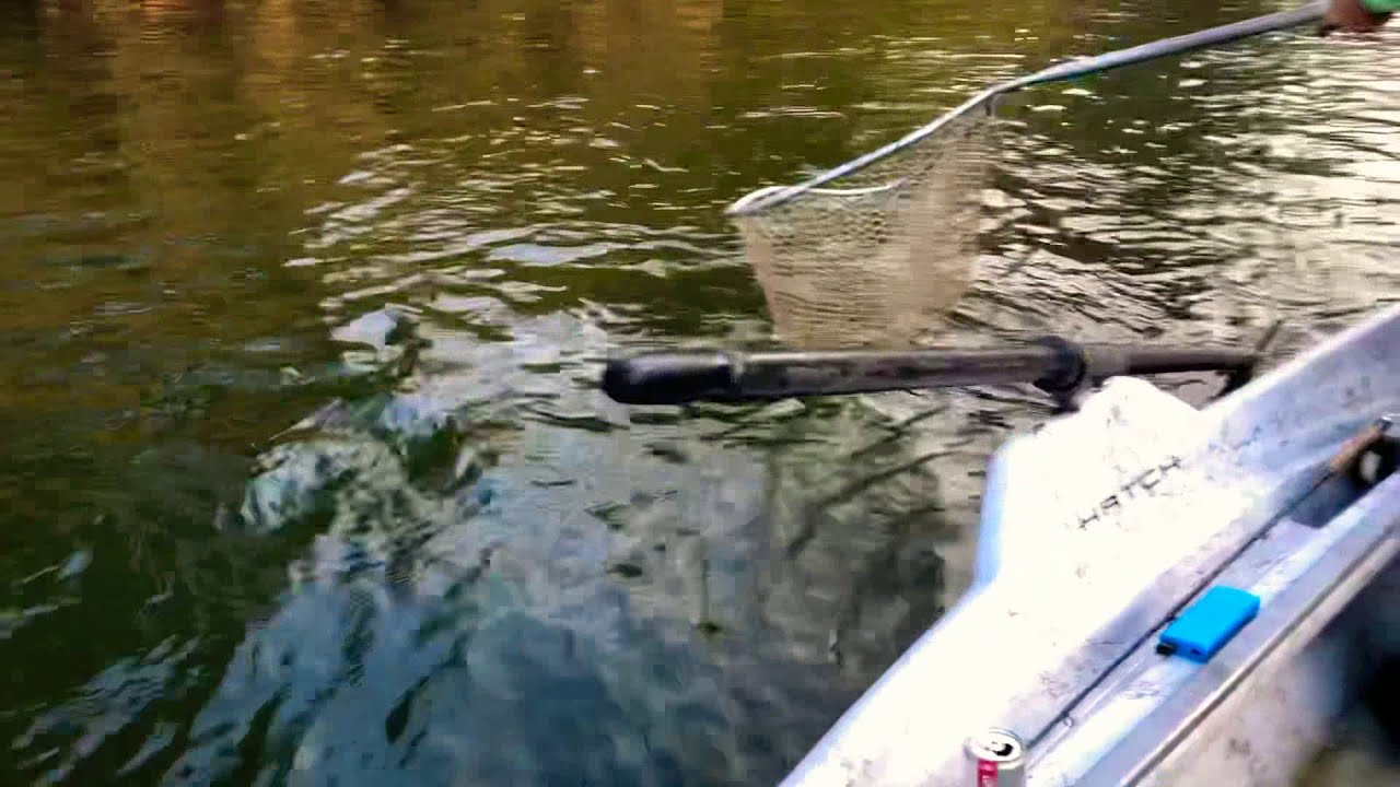 Fall Streamer Fishing on the Delaware River YouTube