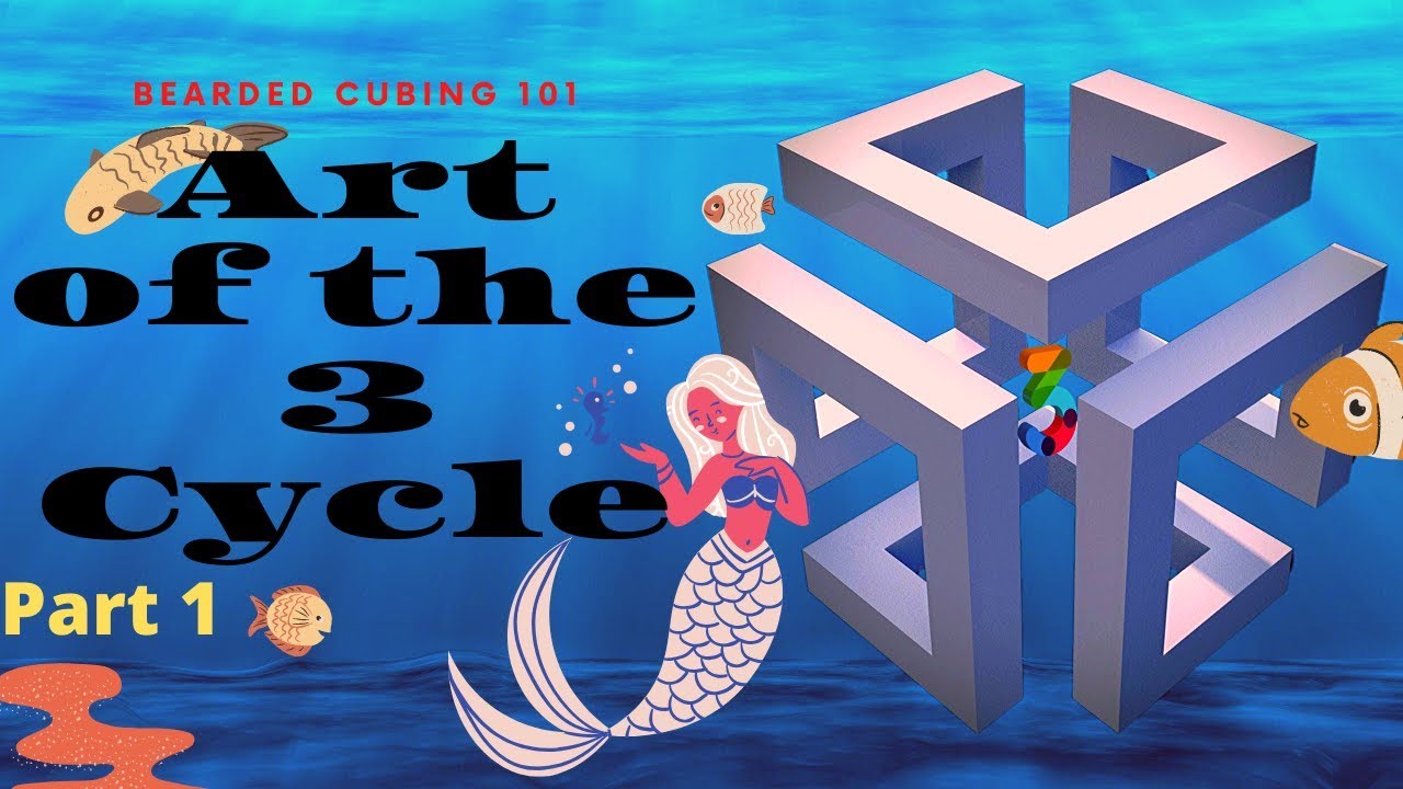 Art of the 3 cycle Part 1