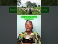 Fulani Herdsmen Have Refused To Leave Benue State Benuestate Herdsmen Nigeria Africa Justice Fulani Herdsmen Have Refused To Leave Benue State Benuestate Herdsmen Nigeria Africa Justice