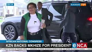 ANC conference | KZN backs Mkhize for president