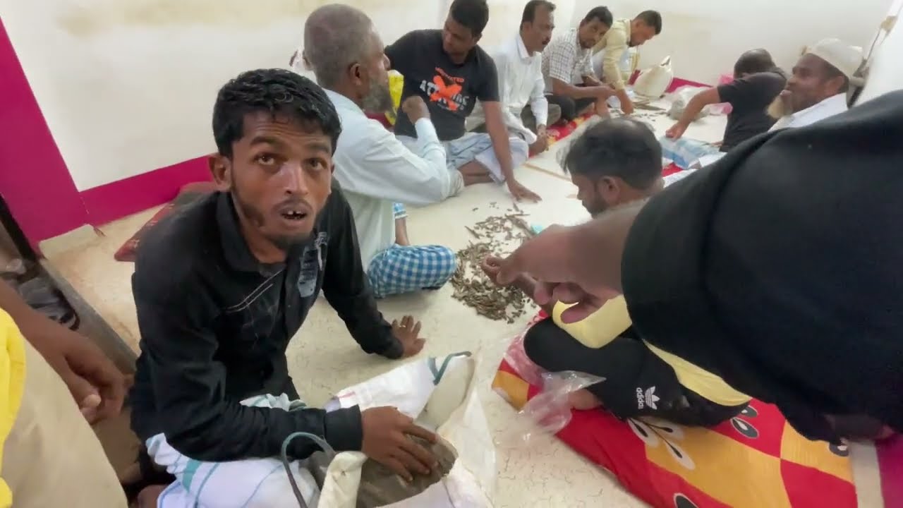 Рынок агарового дерева 😲/ Крупнейший рынок агарового дерева в Индии / Где находится рынок агарово...