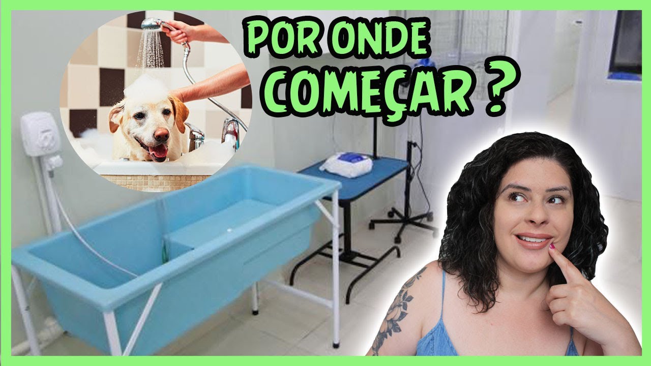 Dicas para escolher o melhor pet shop banho e tosa perto de mim