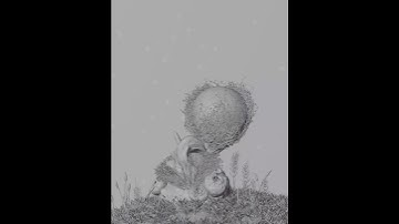 Mushroom 3d animation - Made in Blender 3D