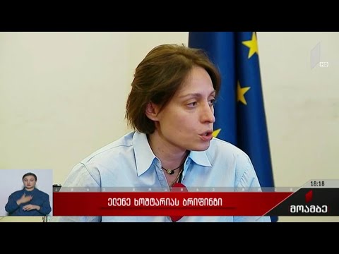 ელენე ხოშტარიას ბრიფინგი