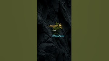 #دعاء #صلي_على_رسول_الله #قصص #أذكار #صباحيات #المصحف #قرآن #اكسبلور #explore #مسائيات