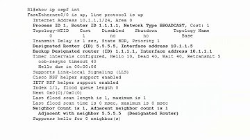 CCNA 200-301 Video Practice Exam 2:  OSPF
