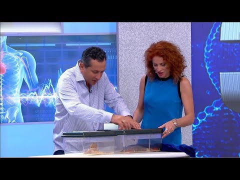 ფობიები