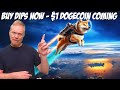 Buy Dips Now - One Dollar Dogecoin Coming