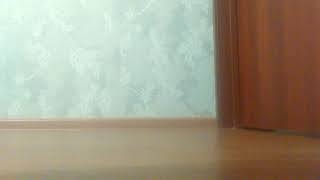 Dramstep(только начала обучаться) Dramstep(только начала обучаться)