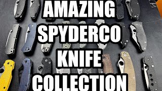 AMAZING Spyderco Folding Pocket Knife Collection | Some Very Rare Knives Here