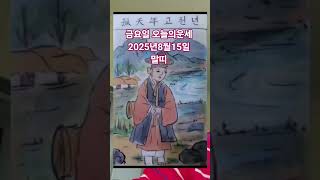 말띠 오늘의운세 2025년8월15일 운세 #운세 #오늘의운세 #말띠운세