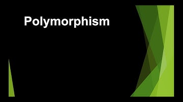 Polymorphism and its types