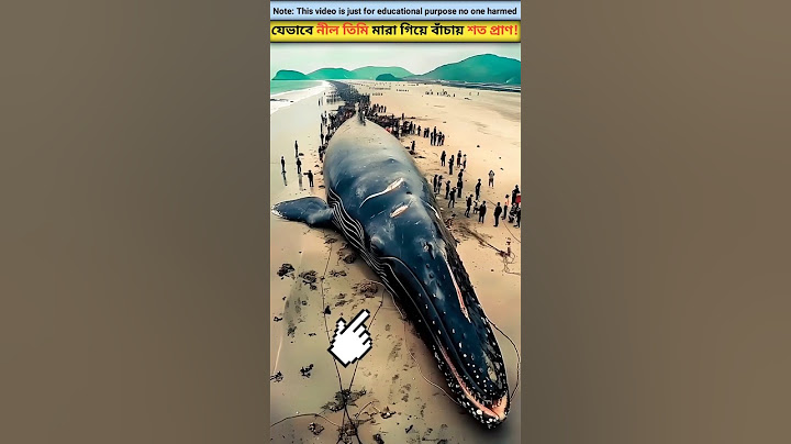 নীল তিমির মৃত্যুর পর ঘটে যে বিস্ময়কর ঘটনা😱#mayajaal #facts #shorts  Blue whale death process