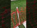 Rotating my Heard(ing dog) #grass #lawncare