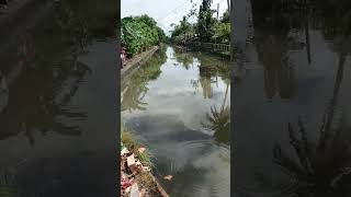 Del Rosario Camaligan