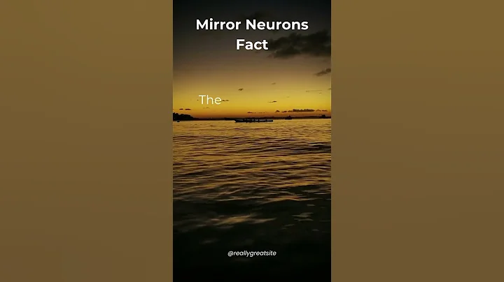 🤯 Unlocking Empathy Secrets: How Your Brain's Mirror Neurons Shape Your World! 🧠