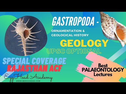 GASTROPODA (Mollusca) | Ornamentation and Geological History (Distribution) #UPSCGeology #RPSC #ACF