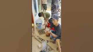 Wholesale jumbo sized crickets