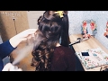 ГРЕЧЕСКАЯ КОСА | Прическа на длинные волосы | Beautiful hairstyle for long hair | LOZNITSA