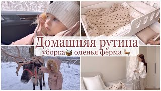 СПОКОЙНАЯ ДОМАШНЯЯ РУТИНА/ уборка и прогулка с семьей