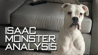 Isaac - Monster Analysis