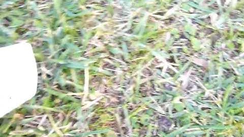 rainbird irrigation battery replacement